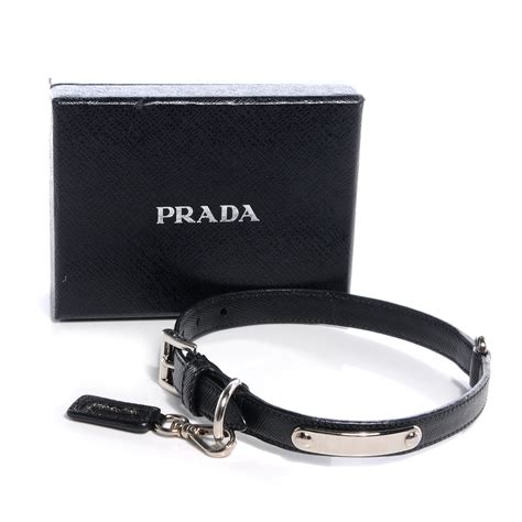 Prada dog collars